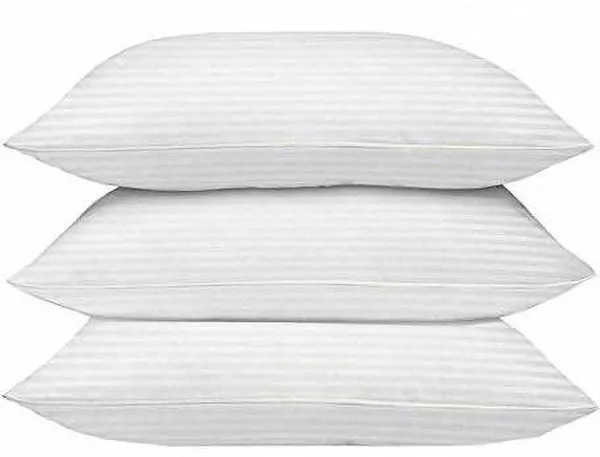 https://d1311wbk6unapo.cloudfront.net/NushopCatalogue/tr:f-webp,w-600,fo-auto/pillow filler set of 3_1672323212072_112i4smoh1rwfmx.jpg__Zesture